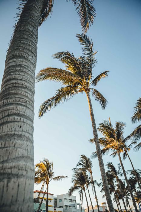 Gallery Lloyd's Tropical Bike Tour Key West